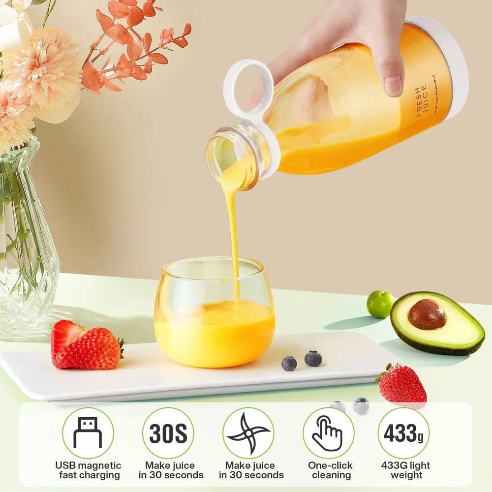 Mini Juicer