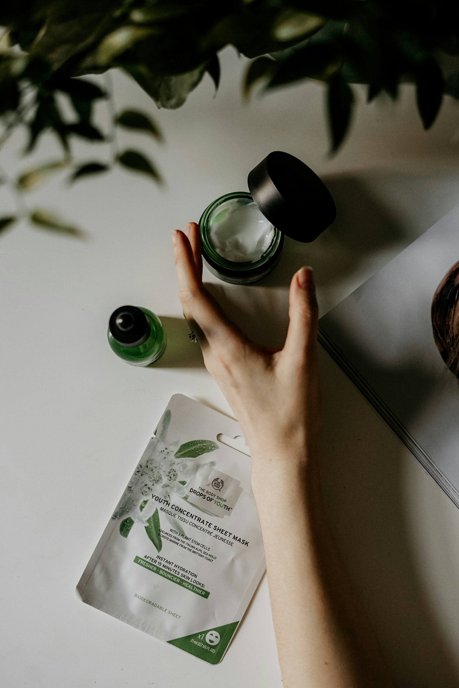 Lifestyle and Wellness